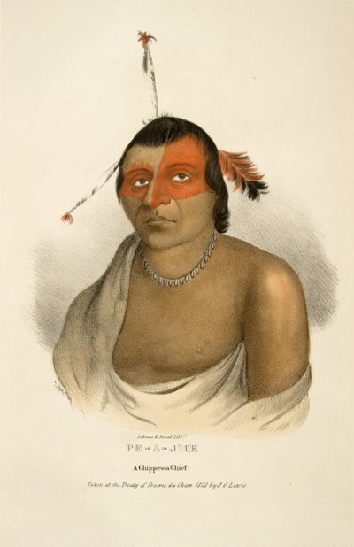 Pe-a-jick von James Otto Lewis